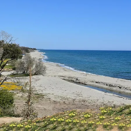 Marina Di Bravone - 6 Personnes Appartement *